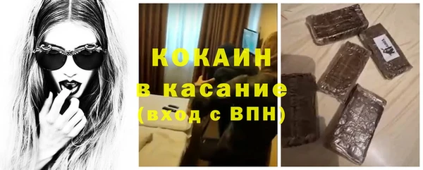прущие грибы Белоозёрский