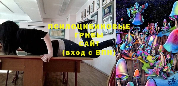 метадон Рославль