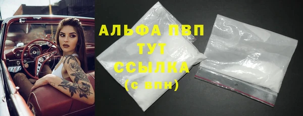 прущие грибы Белоозёрский