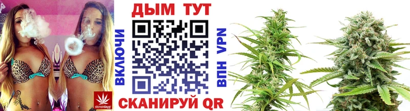 закладки  Кунгур  Бошки марихуана гибрид 